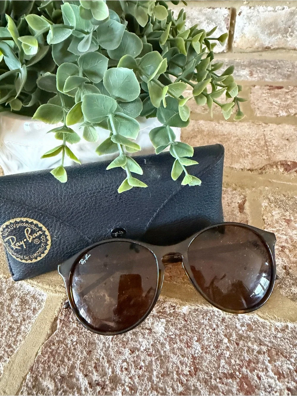 Ray-Ban | Erika Brown Tortoiseshell Sunglasses
